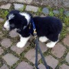 Spaziergang_Baron