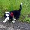 Spaziergang_Baroness