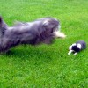 Spielen1