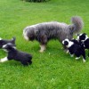 Spielen2