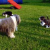 Spielen6