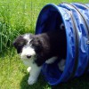 Agility1