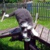 Agility3