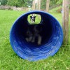 Agility5