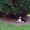 Josis_Garten1