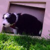 Josis_Garten3