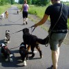 Spaziergang1