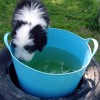 Wasser 2