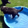 Wasser1