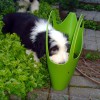 Wasser3