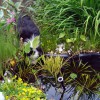 H.Garten_Teich2