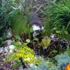 H.Garten_Teich3