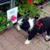 Baumarkt_3