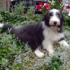 Garten_Hang_2