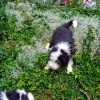 Garten_Hang_3