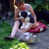 Katzen_2