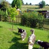 Schwester_Agnes_1