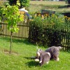 Schwester_Agnes_2