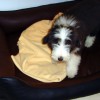 Sofas_3
