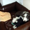 Sofas_4