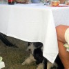 Geburtstagsparty_artig