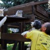 Katzen_2