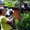 Katzen_4