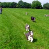 Spaziergang_Pleisse1