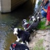 Spaziergang_Pleisse2