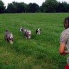 Spaziergang_Pleisse5