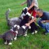 Spaziergang_Pleisse7