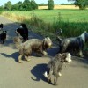 Spaziergang_1