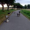 Spaziergang_4