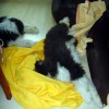 Kuscheldecke2