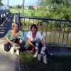 Wehranlage_3
