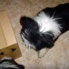 Cailins_Post1