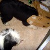 Cailins_Post7