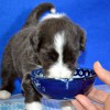 1. Essen_Girl7