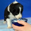 1.Essen_Boy2