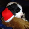 Kuscheln