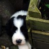 Barclay_5Wo