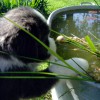 Garten_6