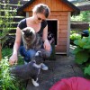 Katzen1