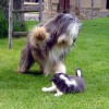 Spielen m Agnes