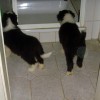 Erkundungen_Dusche