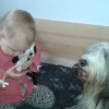 Besuch3
